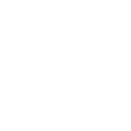 EVA Pro League
